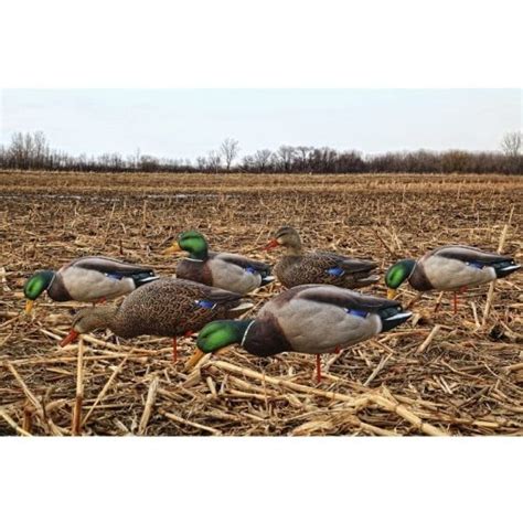 axp mallards 6 slot.